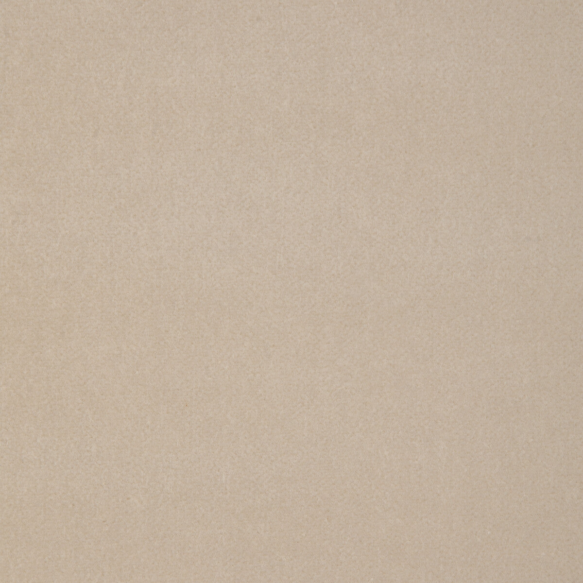 29431 fabric in 1116 color - pattern number 29431.1116.0 - by Kravet Design in the The Complete Velvet collection