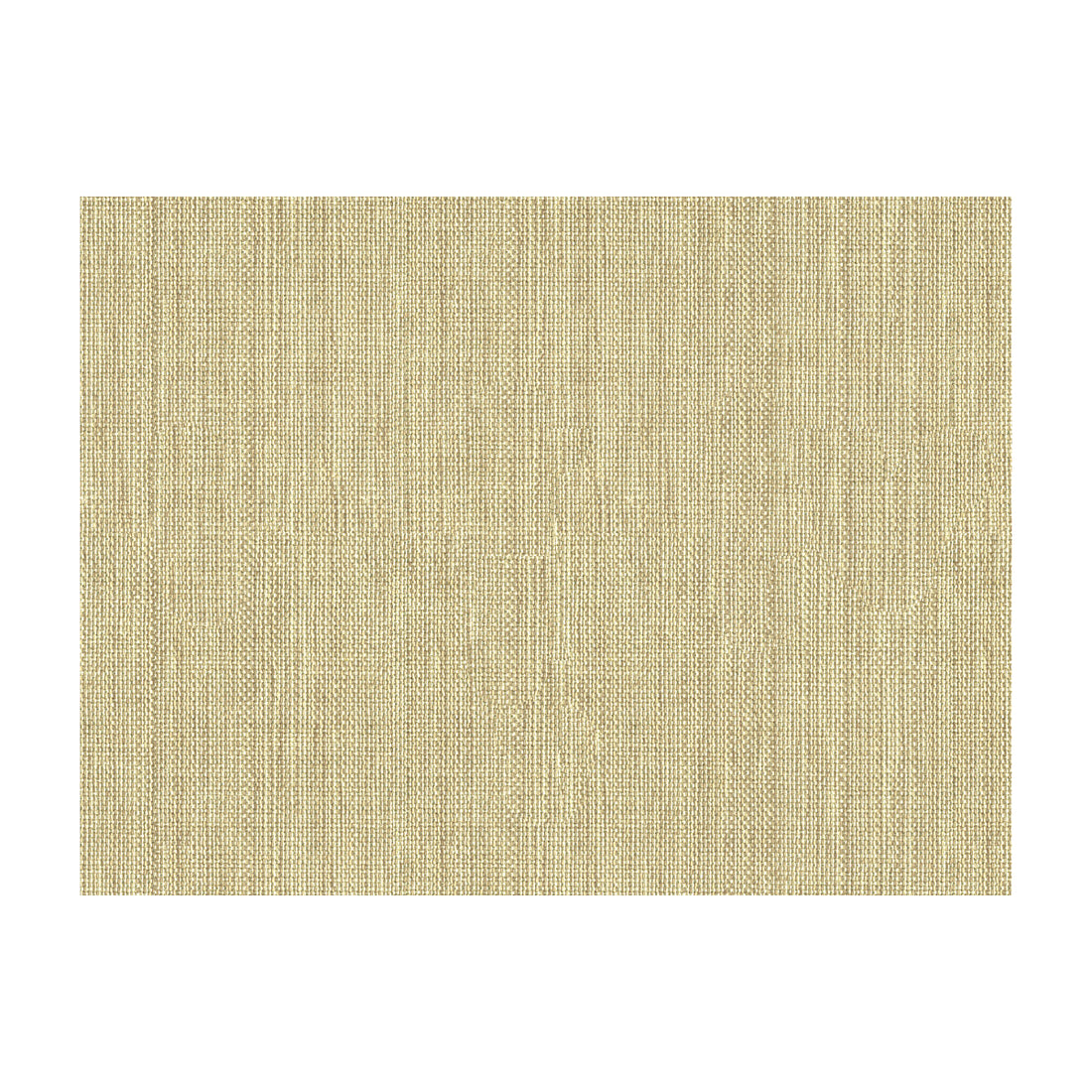 Kravet Basics fabric in 30299-1006 color - pattern 30299.1006.0 - by Kravet Basics in the Perfect Plains collection