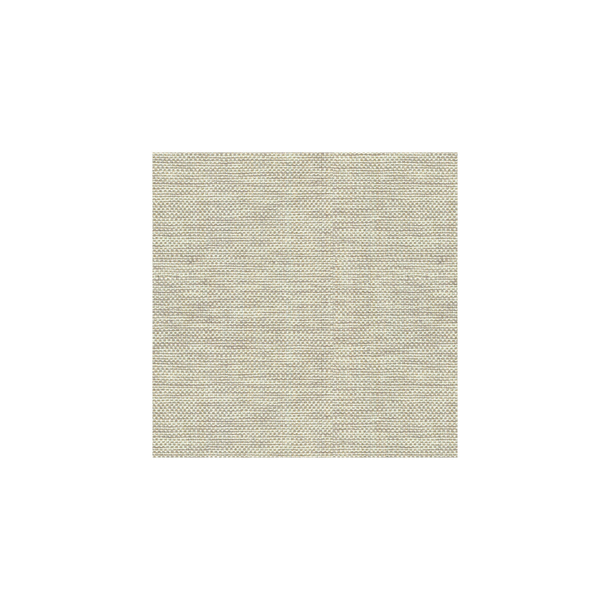 Kravet Basics fabric in 30299-106 color - pattern 30299.106.0 - by Kravet Basics in the Perfect Plains collection