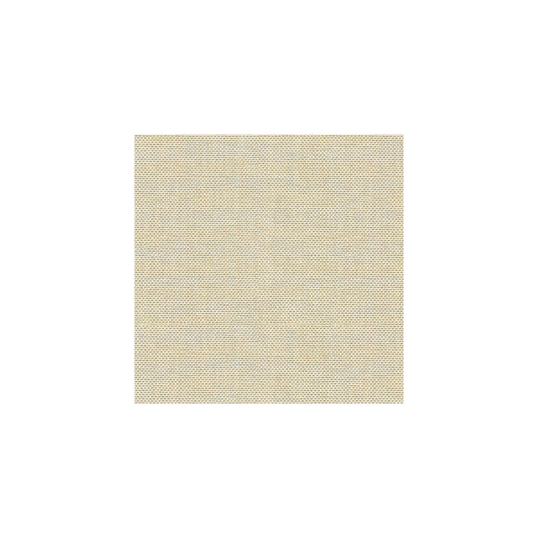 Kravet Basics fabric in 30299-1116 color - pattern 30299.1116.0 - by Kravet Basics in the Perfect Plains collection