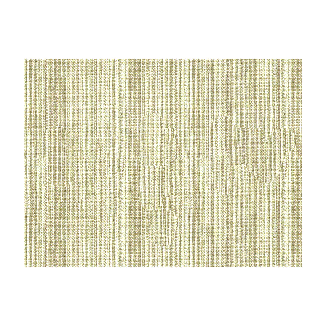 Kravet Basics fabric in 30299-161 color - pattern 30299.161.0 - by Kravet Basics in the Perfect Plains collection