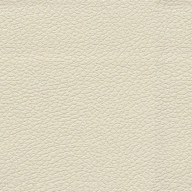 Brisa fabric in birch color - pattern number 303-3019 - by Schumacher in the Ultraleather collection