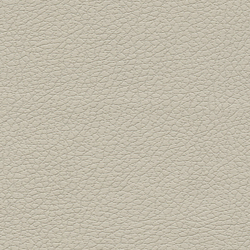 Brisa fabric in bone color - pattern number 303-3822 - by Schumacher in the Ultraleather collection
