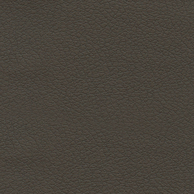 Brisa fabric in truffle color - pattern number 303-3913 - by Schumacher in the Ultraleather collection