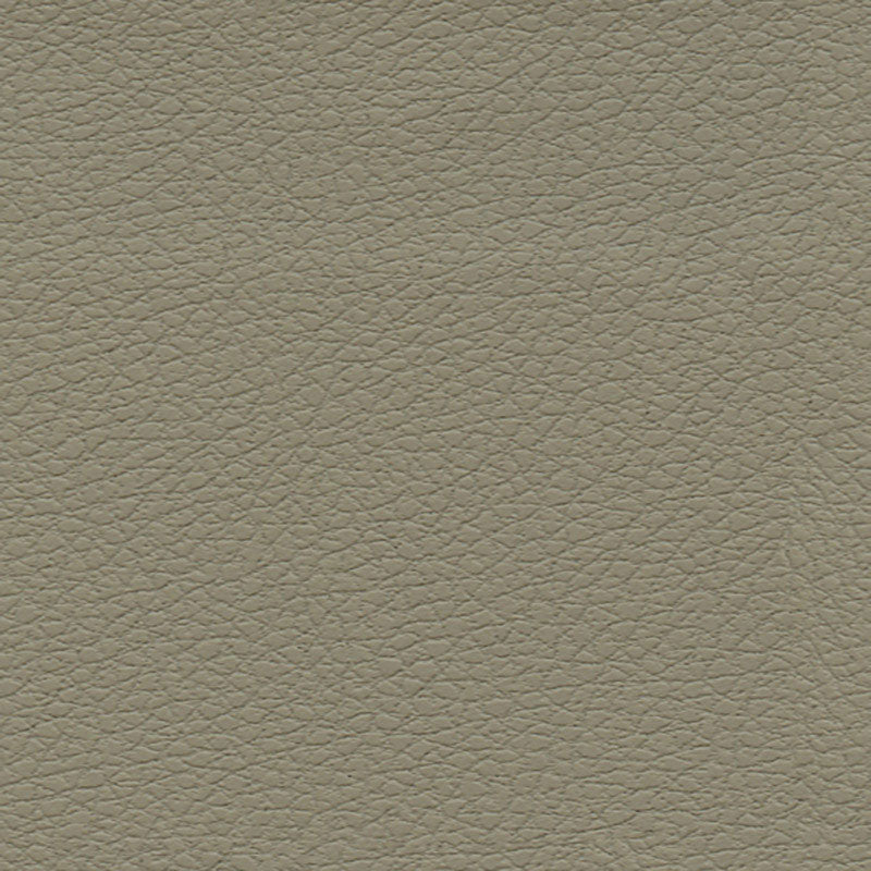 Brisa fabric in fedora color - pattern number 303-3915 - by Schumacher in the Ultraleather collection