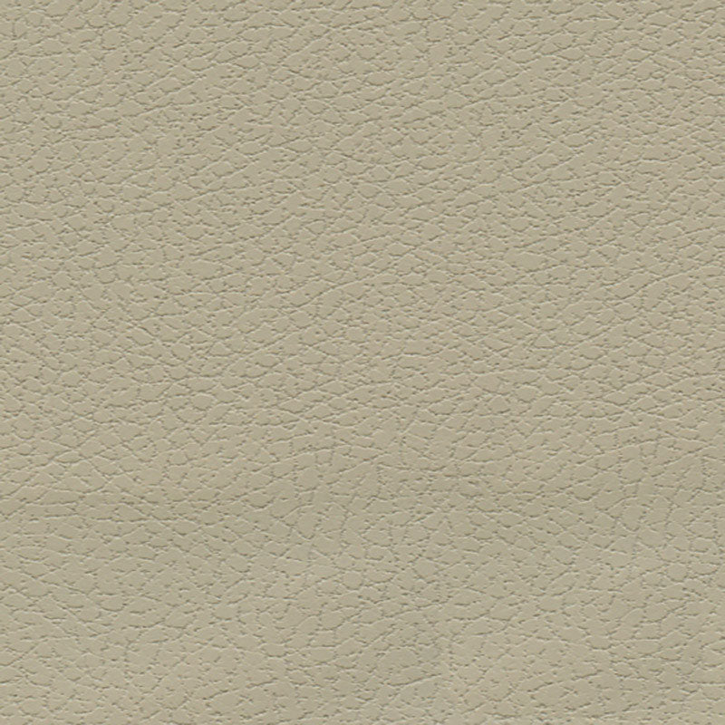 Brisa fabric in sand color - pattern number 303-3946 - by Schumacher in the Ultraleather collection