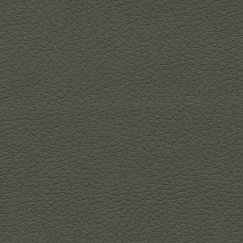 Brisa fabric in olive color - pattern number 303-4488 - by Schumacher in the Ultraleather collection