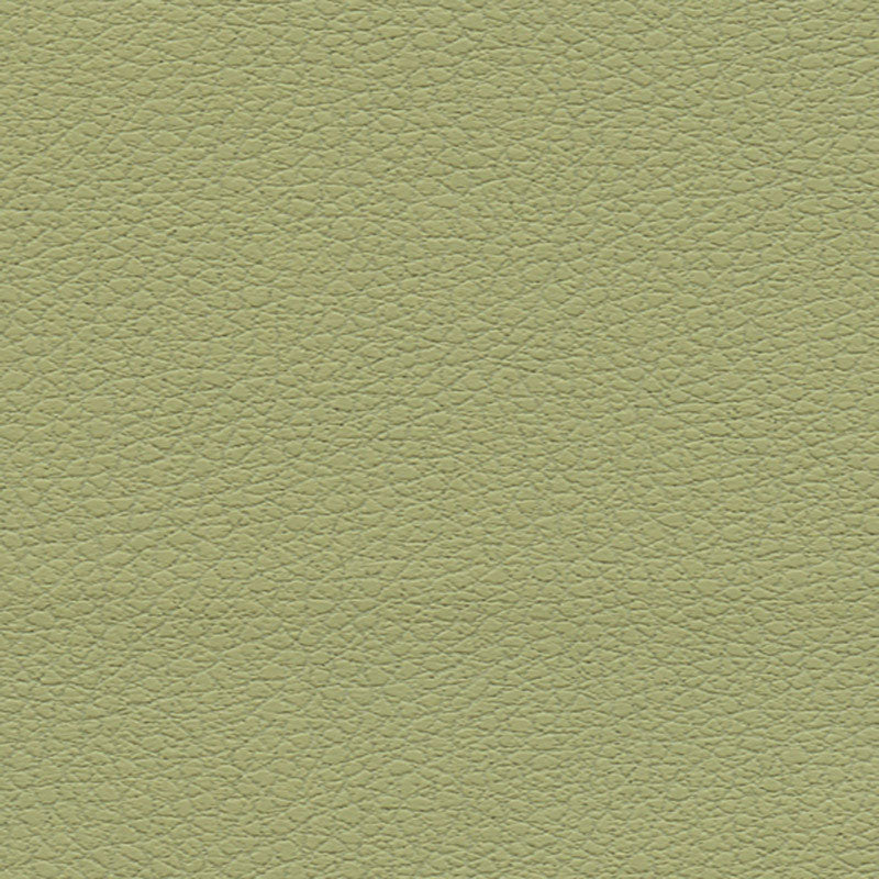 Brisa fabric in celery color - pattern number 303-4510 - by Schumacher in the Ultraleather collection