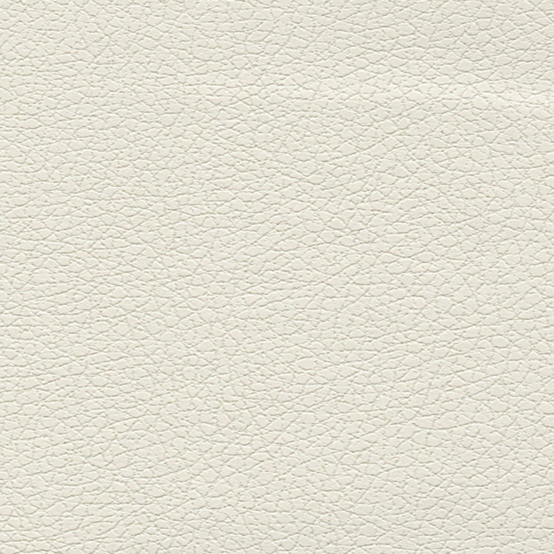 Brisa fabric in white color - pattern number 303-5747 - by Schumacher in the Ultraleather collection