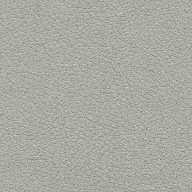 Brisa fabric in quicksilver color - pattern number 303-5820 - by Schumacher in the Ultraleather collection