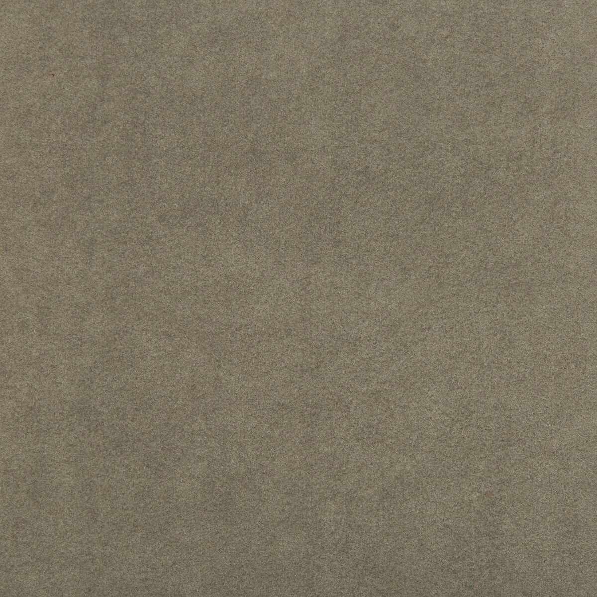 Ultrasuede Green fabric in oatmeal color - pattern 30787.106.0 - by Kravet Design in the Performance collection