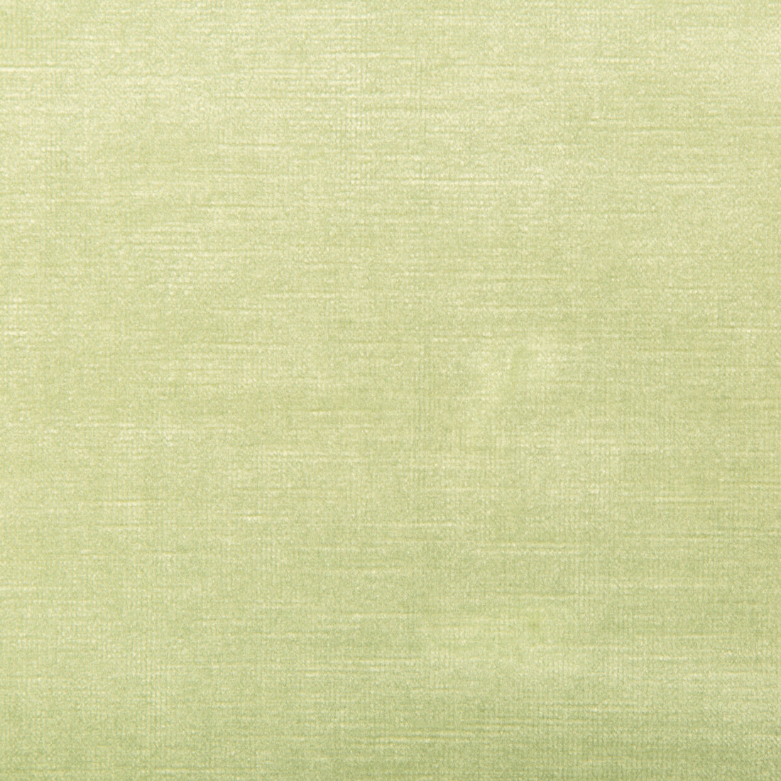 Venetian fabric in lime color - pattern 31326.2323.0 - by Kravet Design