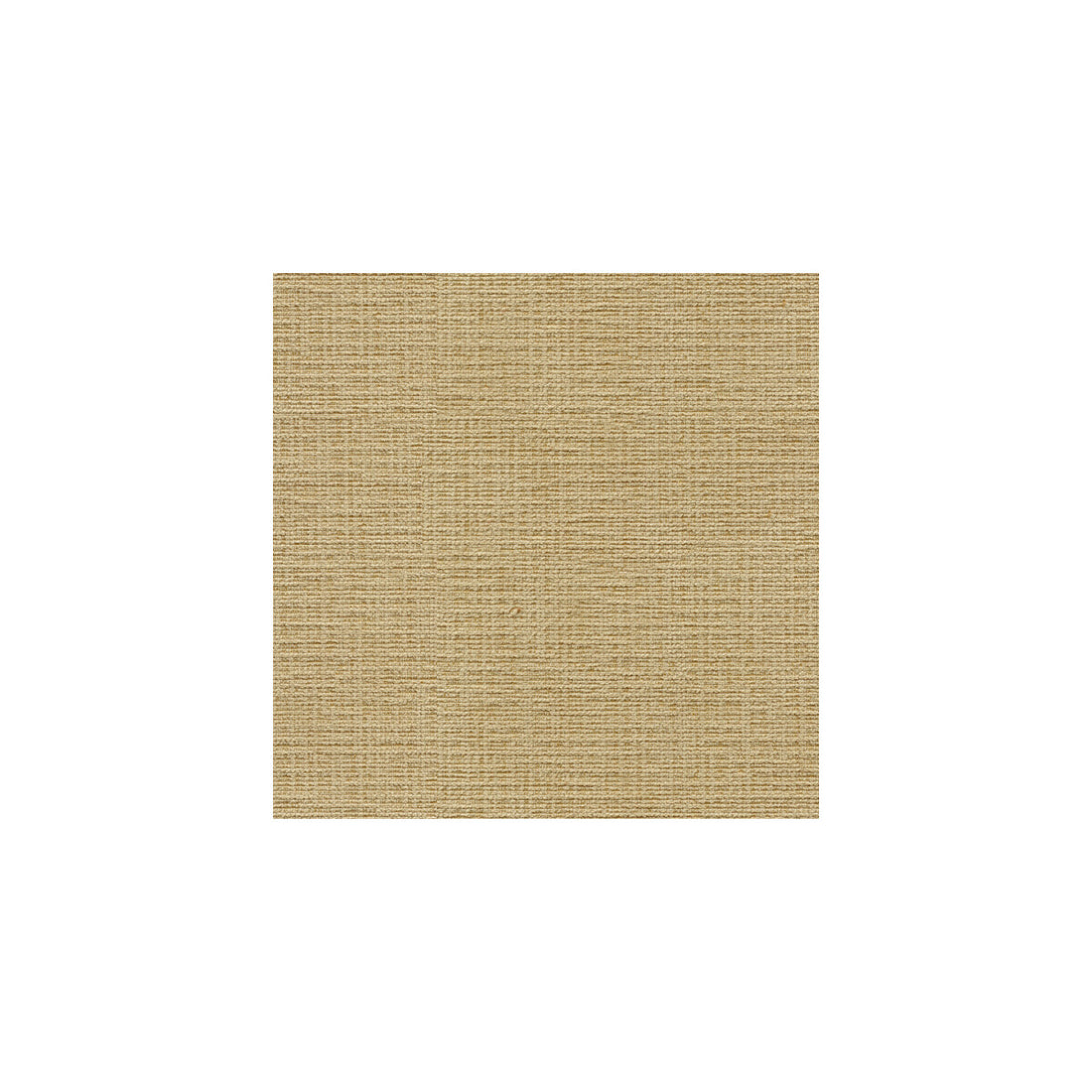 Kravet Basics fabric in 32314-1616 color - pattern 32314.1616.0 - by Kravet Basics in the Perfect Plains collection