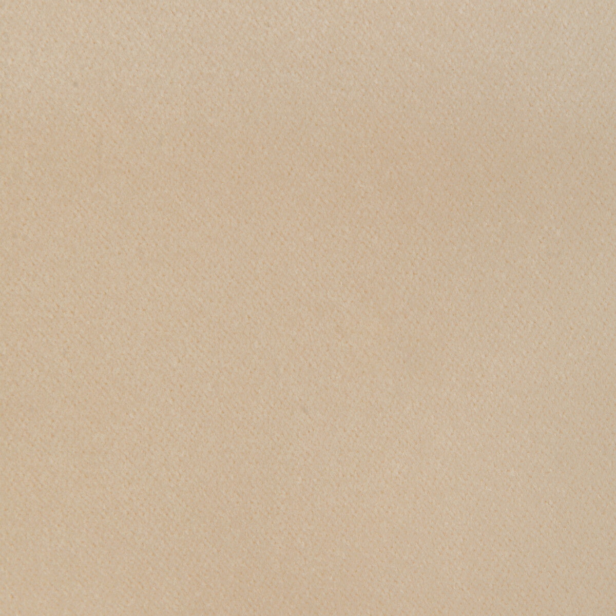 32565 fabric in 1116 color - pattern number 32565.1116.0 - by Kravet Smart in the The Complete Velvet collection