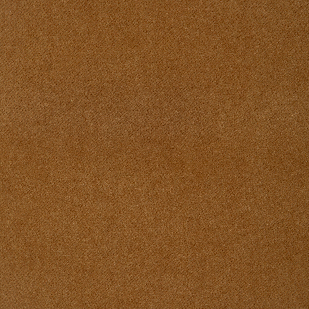 32565 fabric in 44 color - pattern number 32565.44.0 - by Kravet Smart in the The Complete Velvet collection