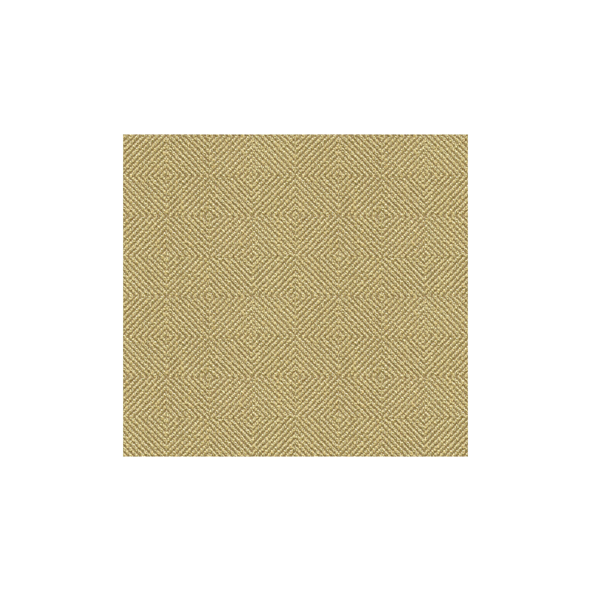 Kf Smt fabric - pattern 32924.1616.0 - by Kravet Smart in the Gis collection