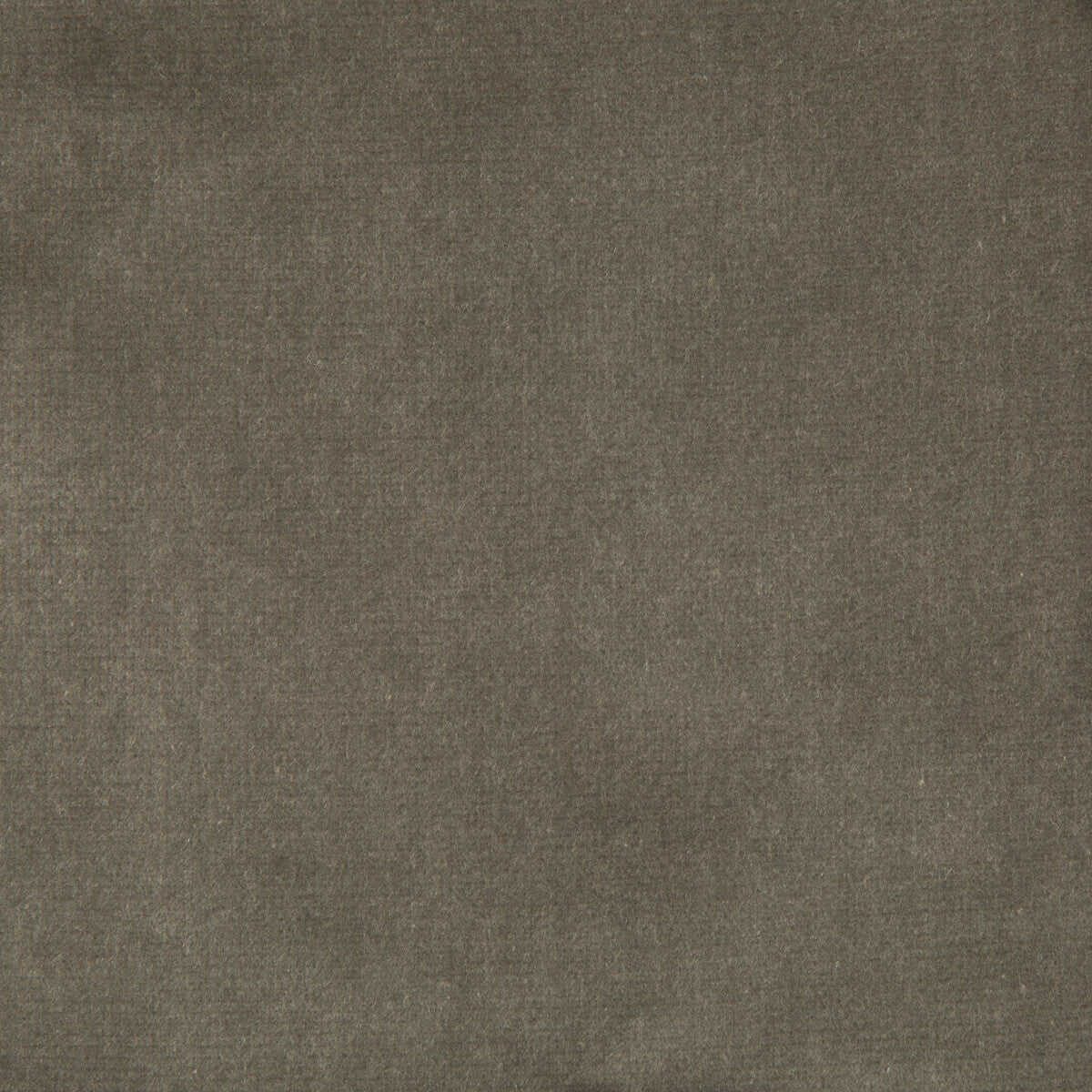 Velvet Treat fabric in grey color - pattern 33062.11.0 - by Kravet Couture in the Modern Colors III collection