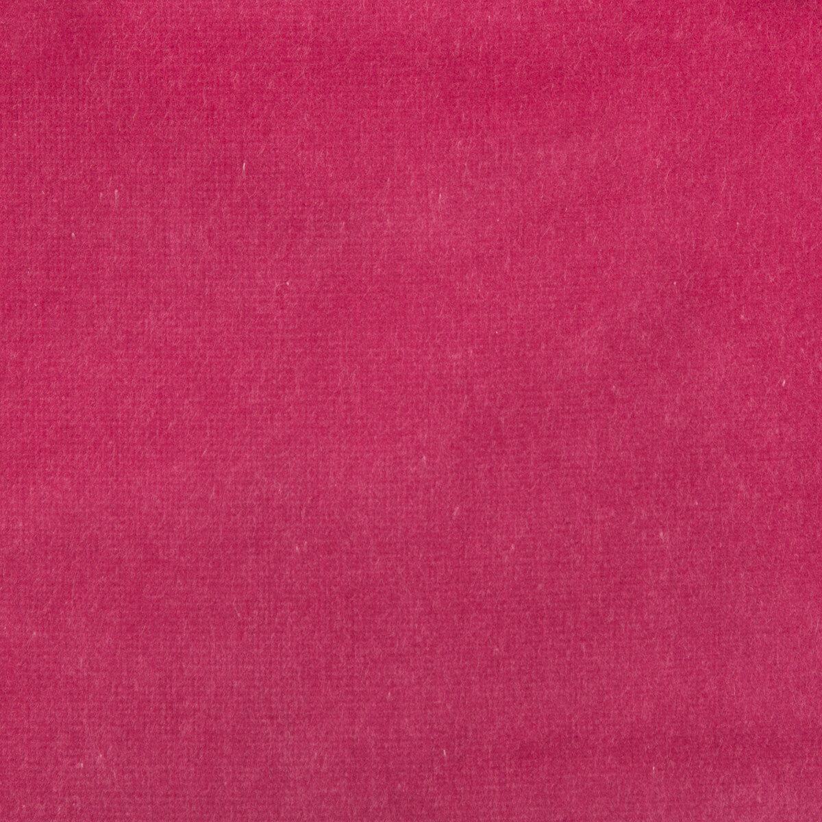 Velvet Treat fabric in hot pink color - pattern 33062.97.0 - by Kravet Couture in the Modern Colors III collection