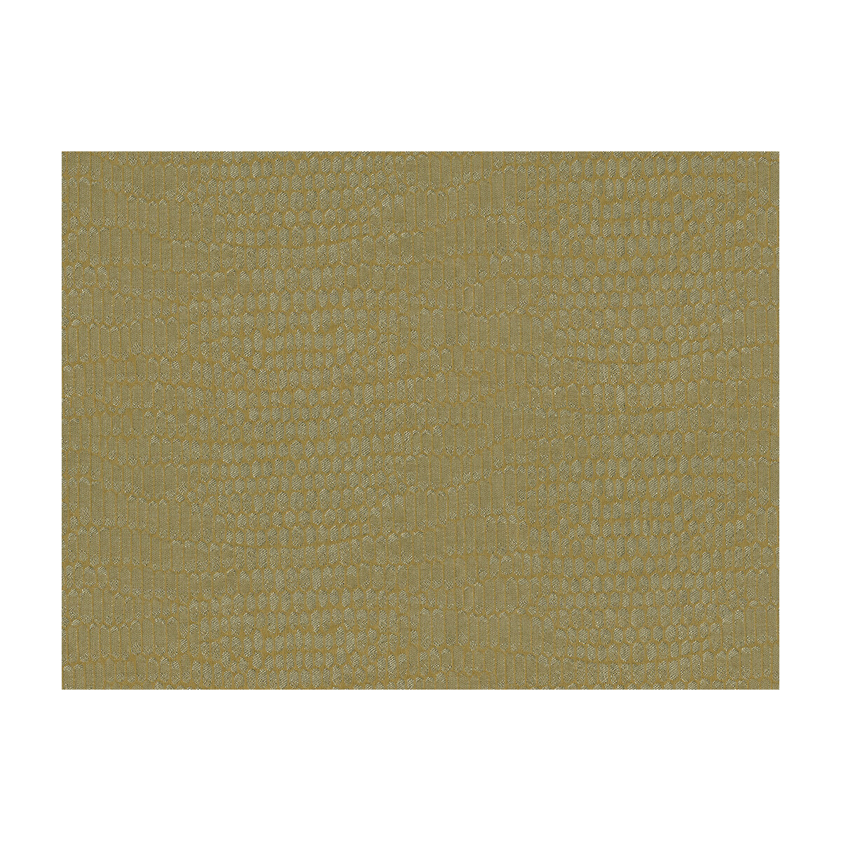 Snakecharmer fabric in pewter color - pattern 33088.106.0 - by Kravet Design in the Diane Von Furstenberg Signature collection