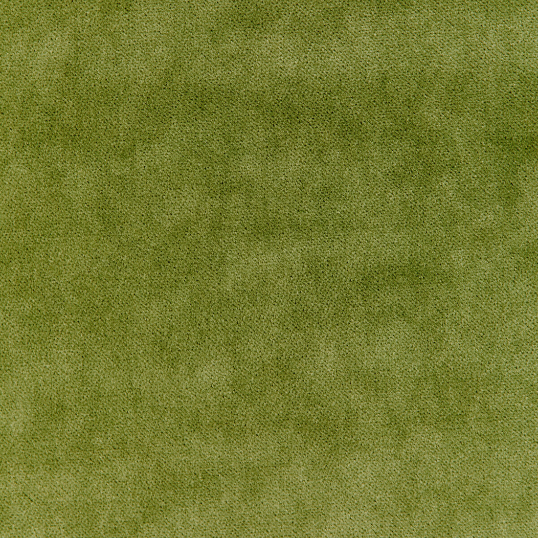 Kravet Basics fabric in 33299-130 color - pattern 33299.130.0 - by Kravet Basics in the The Complete Velvet collection