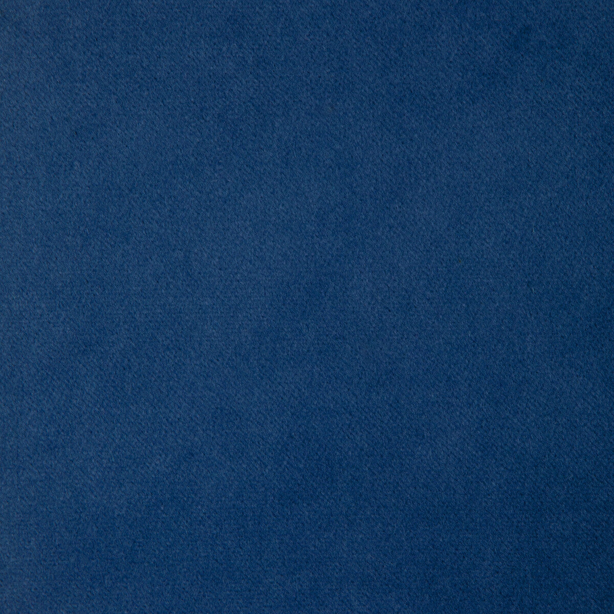 33299 fabric in 155 color - pattern number 33299.155.0 - by Kravet Basics in the The Complete Velvet collection
