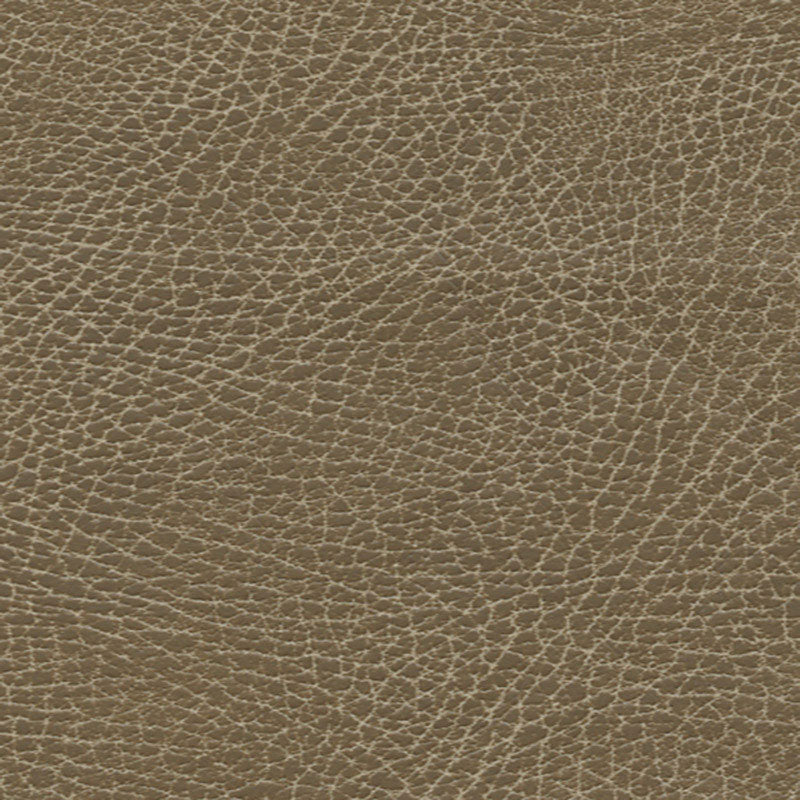 Brisa Distressed fabric in saddle color - pattern number 335-3137 - by Schumacher in the Ultraleather collection