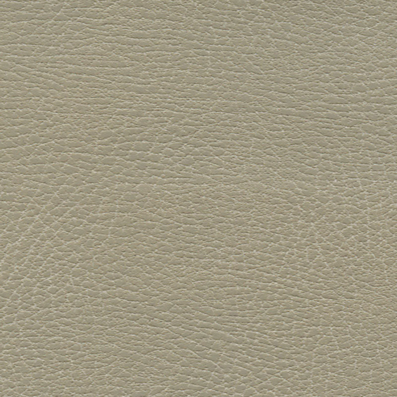 Brisa Distressed fabric in dune color - pattern number 335-3869 - by Schumacher in the Ultraleather collection