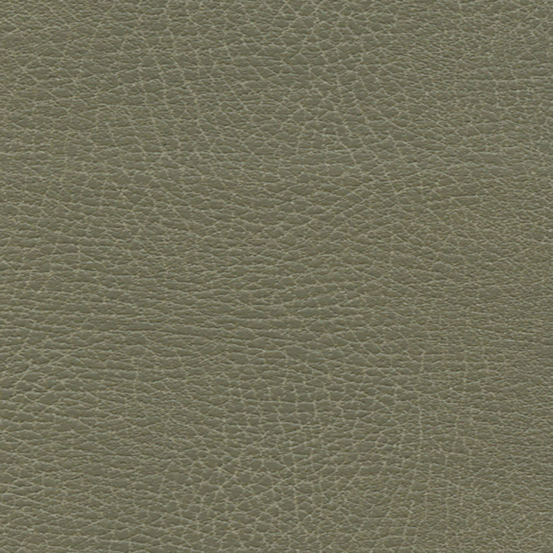Brisa Distressed fabric in prairie color - pattern number 335-4512 - by Schumacher in the Ultraleather collection