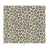 Chic Tortoise fabric in anthracite color - pattern 33561.81.0 - by Kravet Couture in the Modern Luxe collection