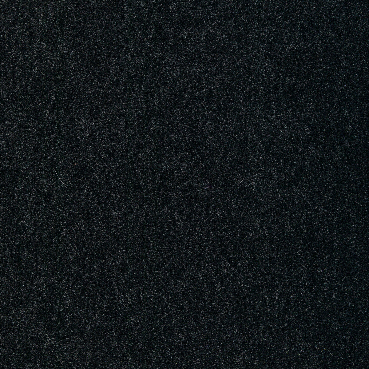 Chic Alpaca fabric in charcoal color - pattern 33837.8.0 - by Kravet Couture