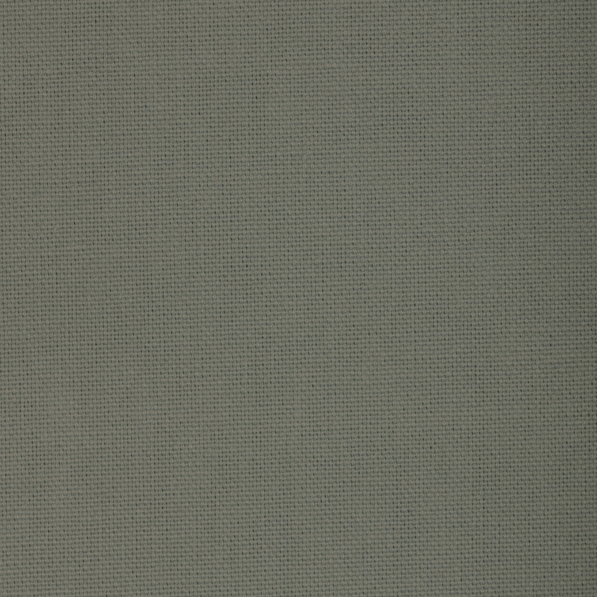 33842 fabric in 1311 color - pattern number 33842.1311.0 - by Kravet Basics in the Multi Purpose Essentials collection