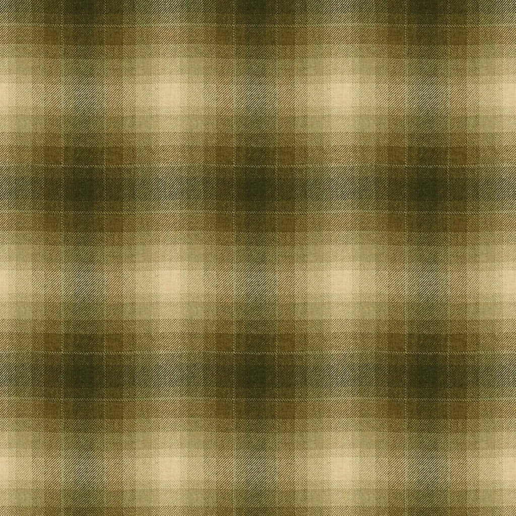 Toboggan Plaid fabric in hemlock color - pattern 33912.1630.0 - by Kravet Couture in the Barbara Barry Chalet collection