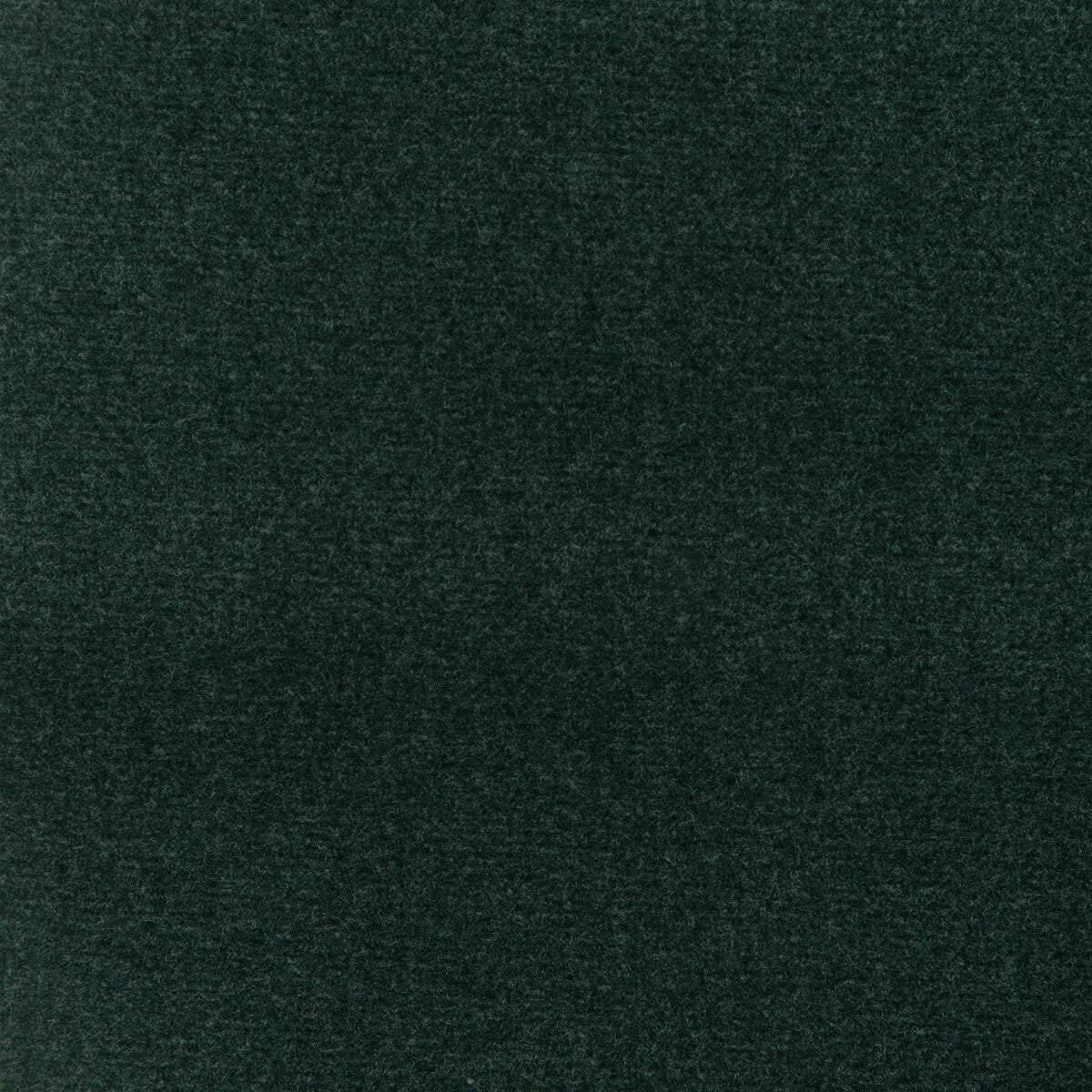 34205 fabric in 303 color - pattern number 34205.303.0 - by Kravet Design in the The Complete Velvet collection