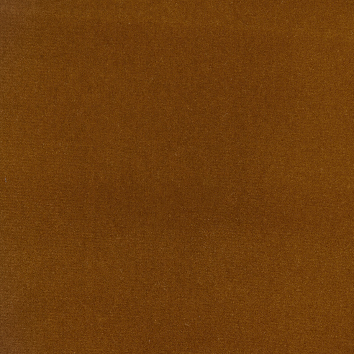 34205 fabric in 404 color - pattern number 34205.404.0 - by Kravet Design in the The Complete Velvet collection