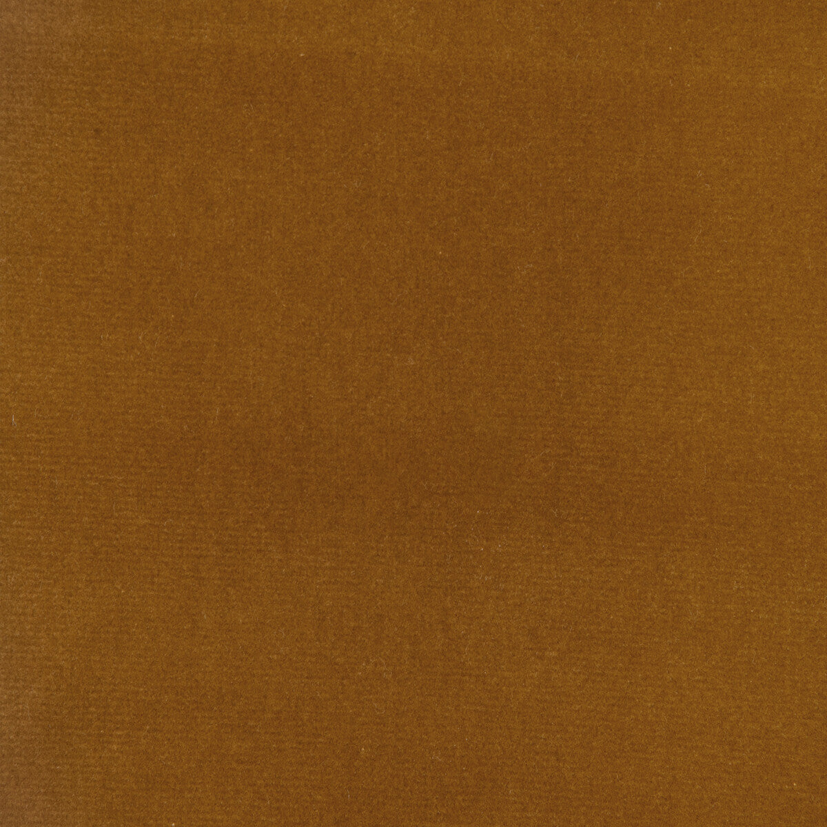 34205 fabric in 44 color - pattern number 34205.44.0 - by Kravet Design in the The Complete Velvet collection
