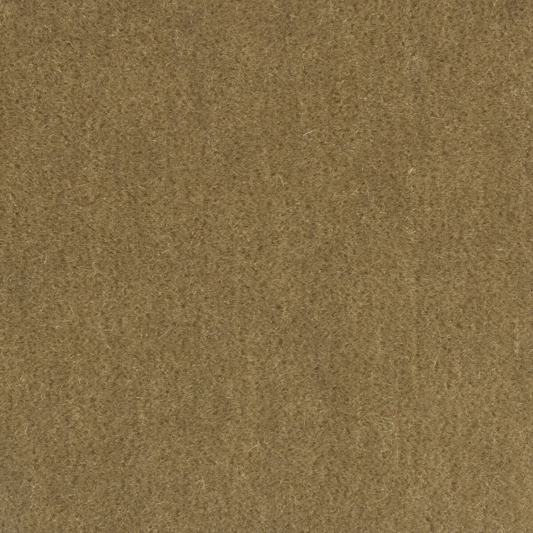 Windsor Mohair fabric in truffle color - pattern 34258.106.0 - by Kravet Couture