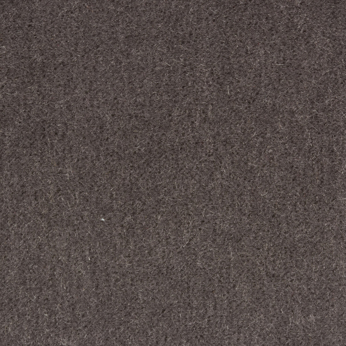 Windsor Mohair fabric in charcoal color - pattern 34258.21.0 - by Kravet Couture