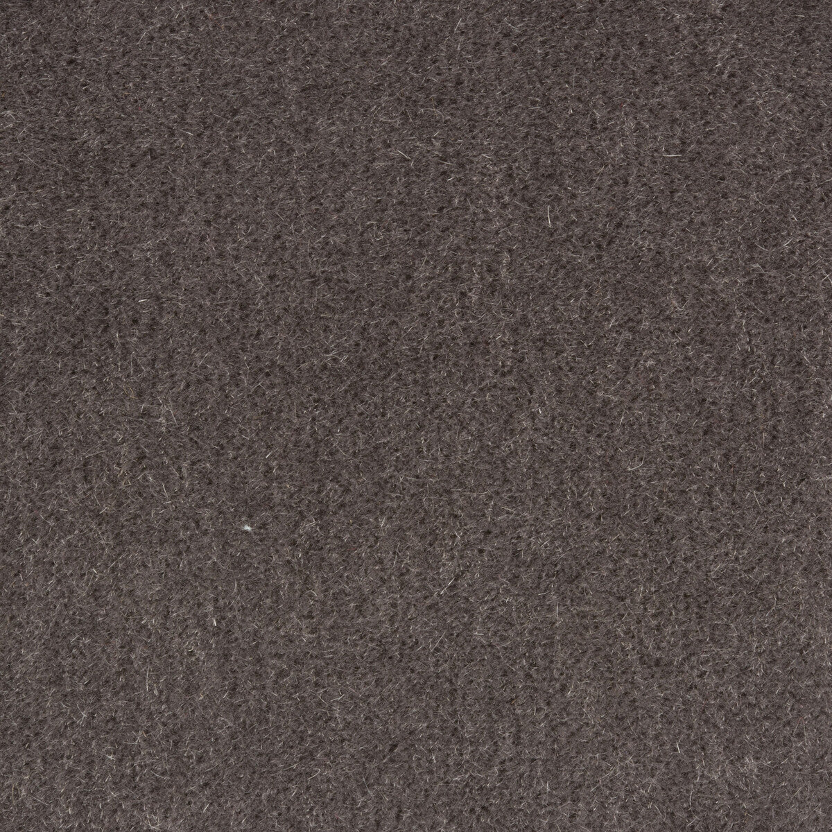 Windsor Mohair fabric in charcoal color - pattern 34258.21.0 - by Kravet Couture