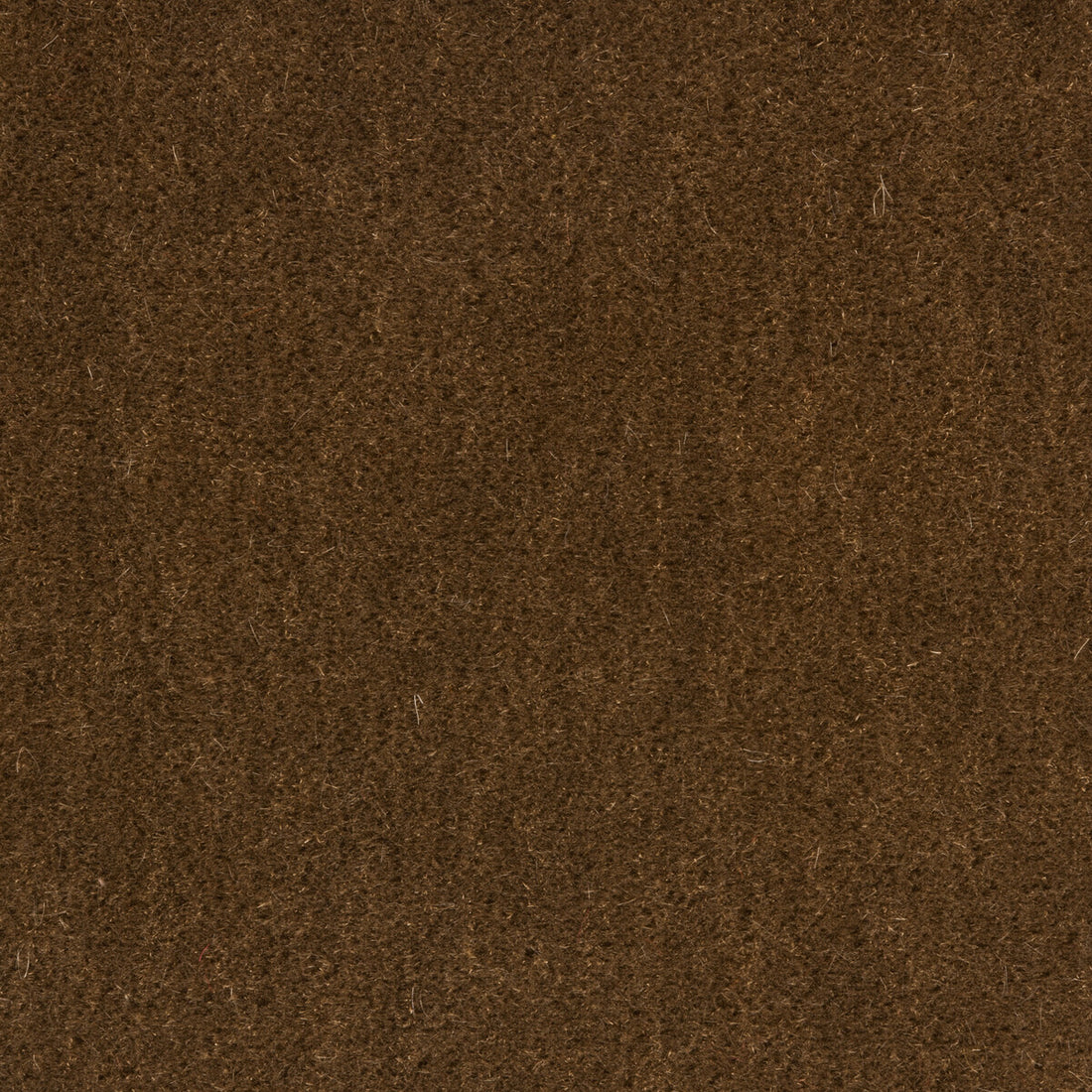 Windsor Mohair fabric in oak color - pattern 34258.616.0 - by Kravet Couture
