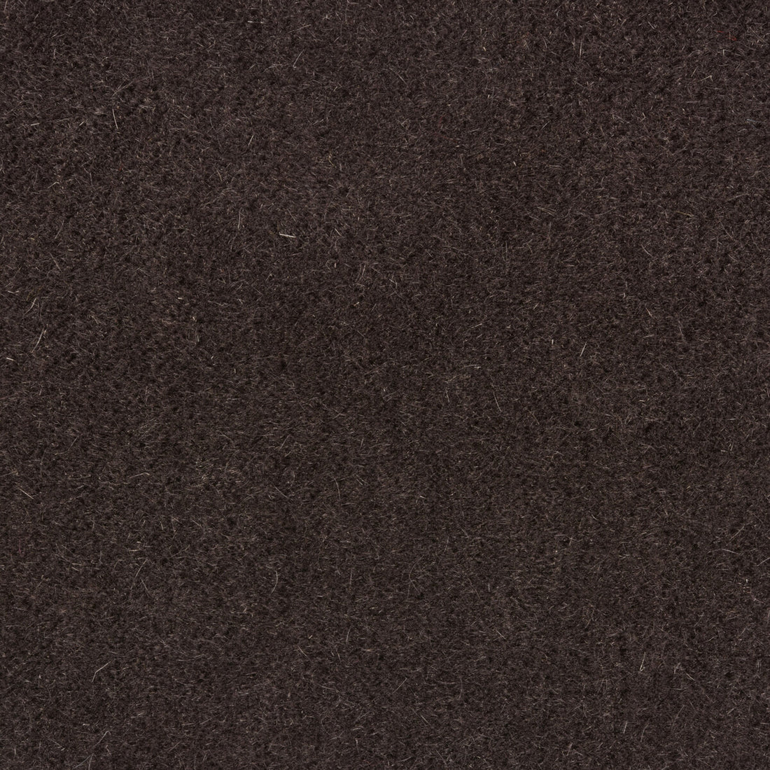 Windsor Mohair fabric in espresso color - pattern 34258.68.0 - by Kravet Couture