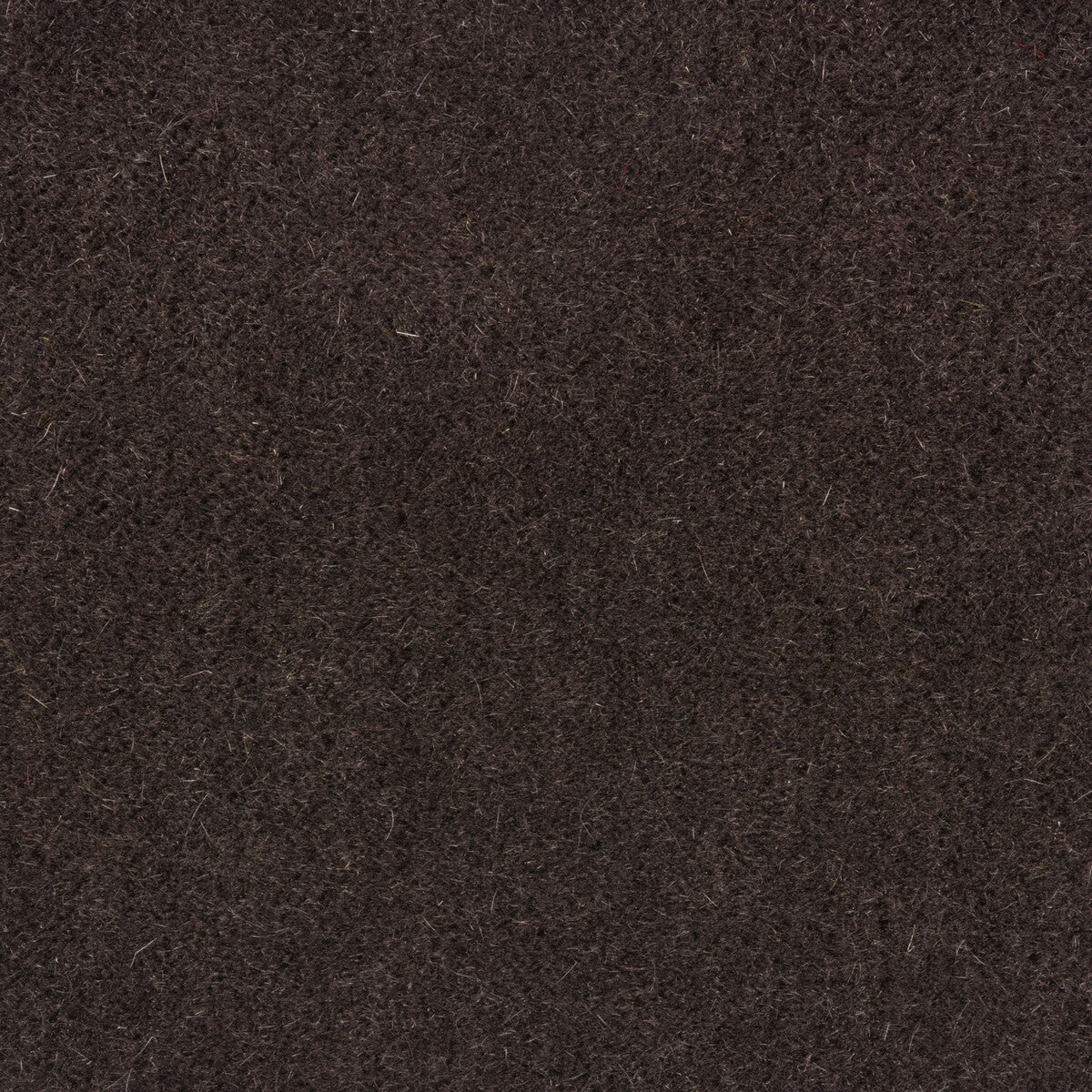 Windsor Mohair fabric in espresso color - pattern 34258.68.0 - by Kravet Couture