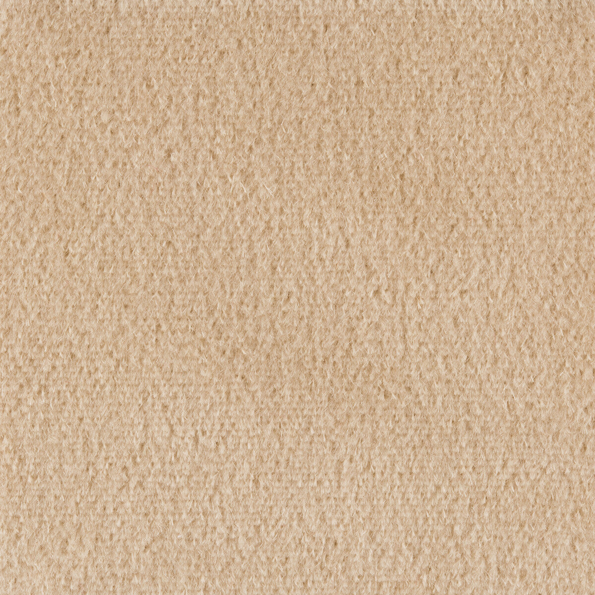 Plazzo Mohair fabric in limestone color - pattern 34259.018.0 - by Kravet Couture