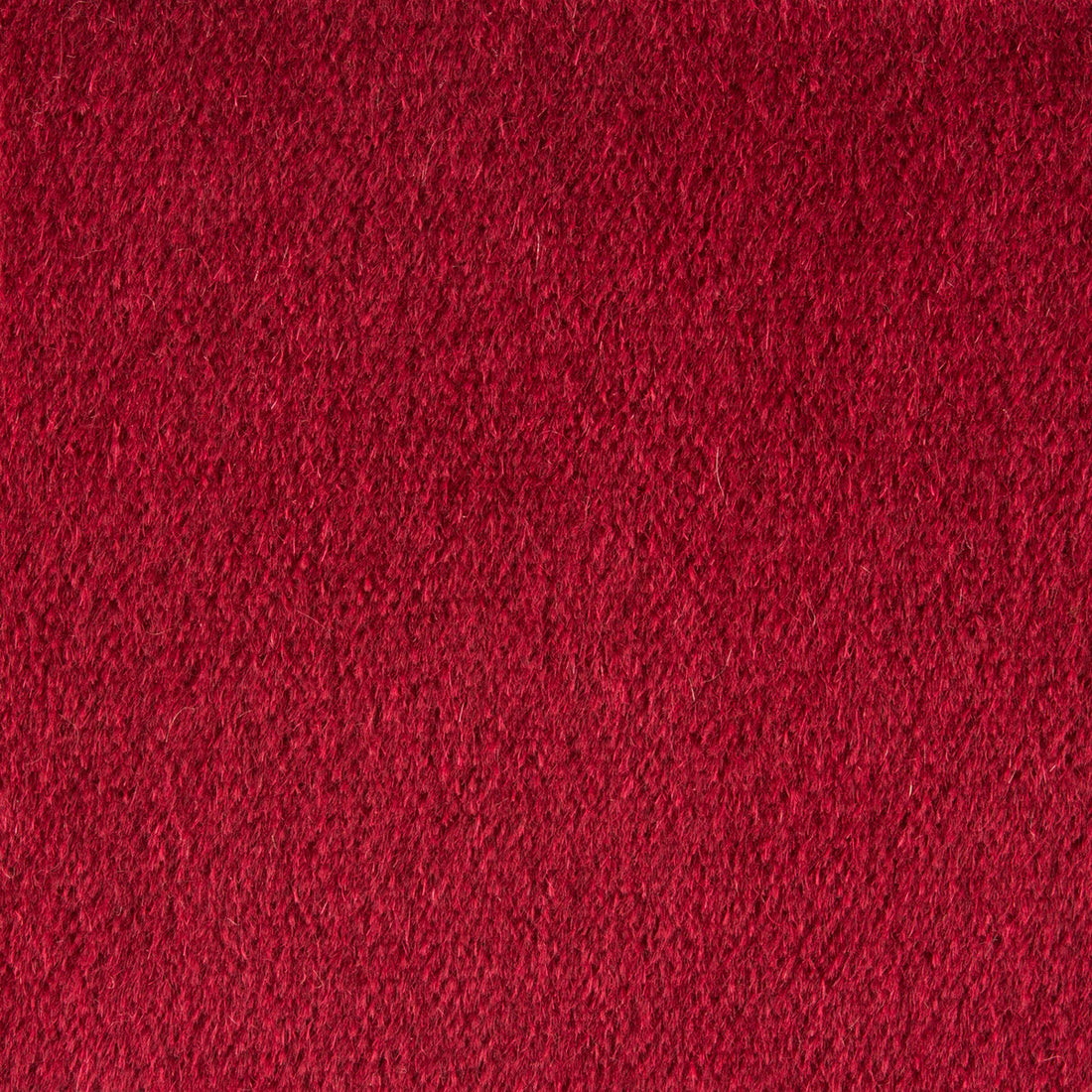 Plazzo Mohair fabric in cerise color - pattern 34259.140.0 - by Kravet Couture