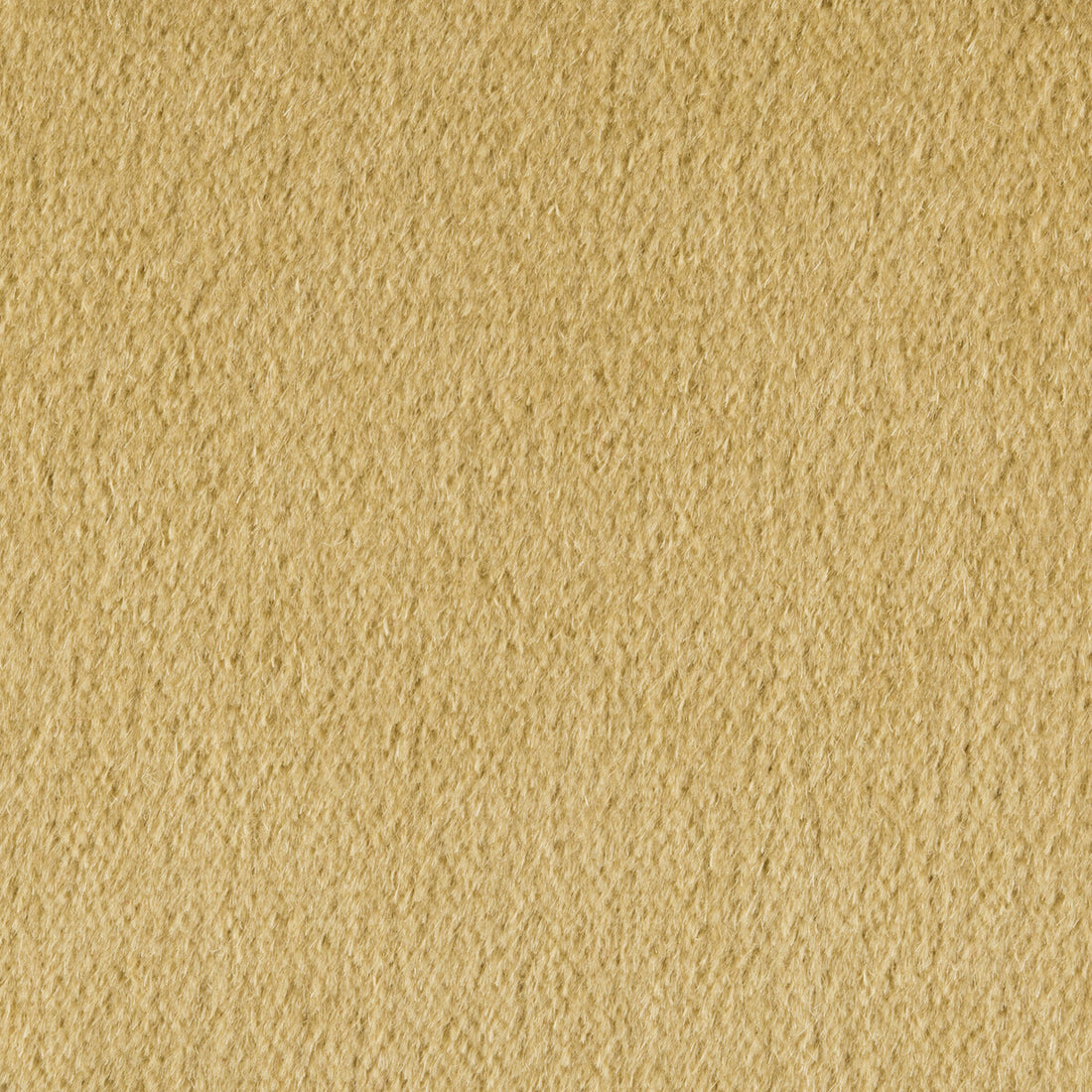 Plazzo Mohair fabric in desert color - pattern 34259.405.0 - by Kravet Couture