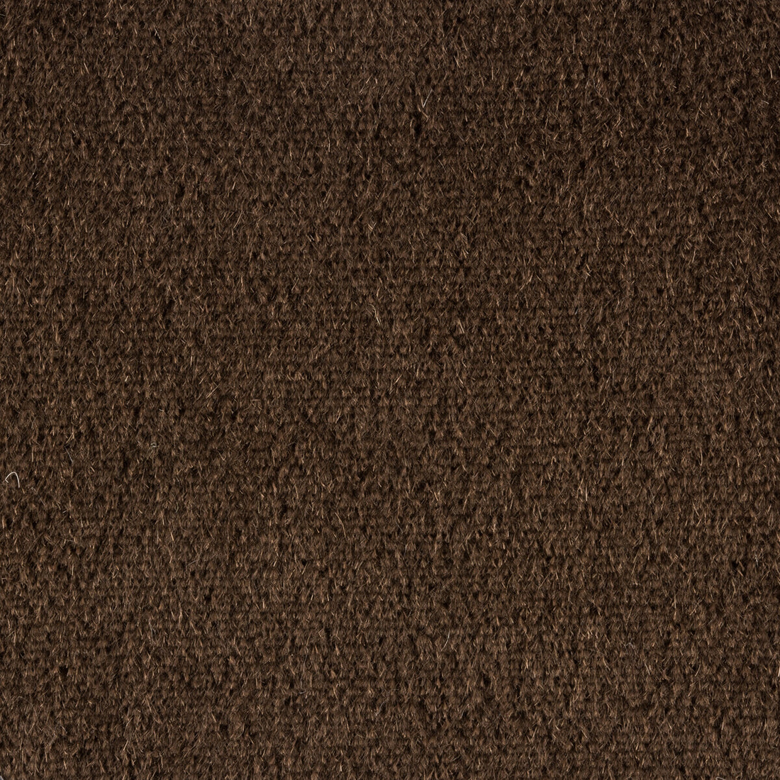 Plazzo Mohair fabric in java color - pattern 34259.871.0 - by Kravet Couture