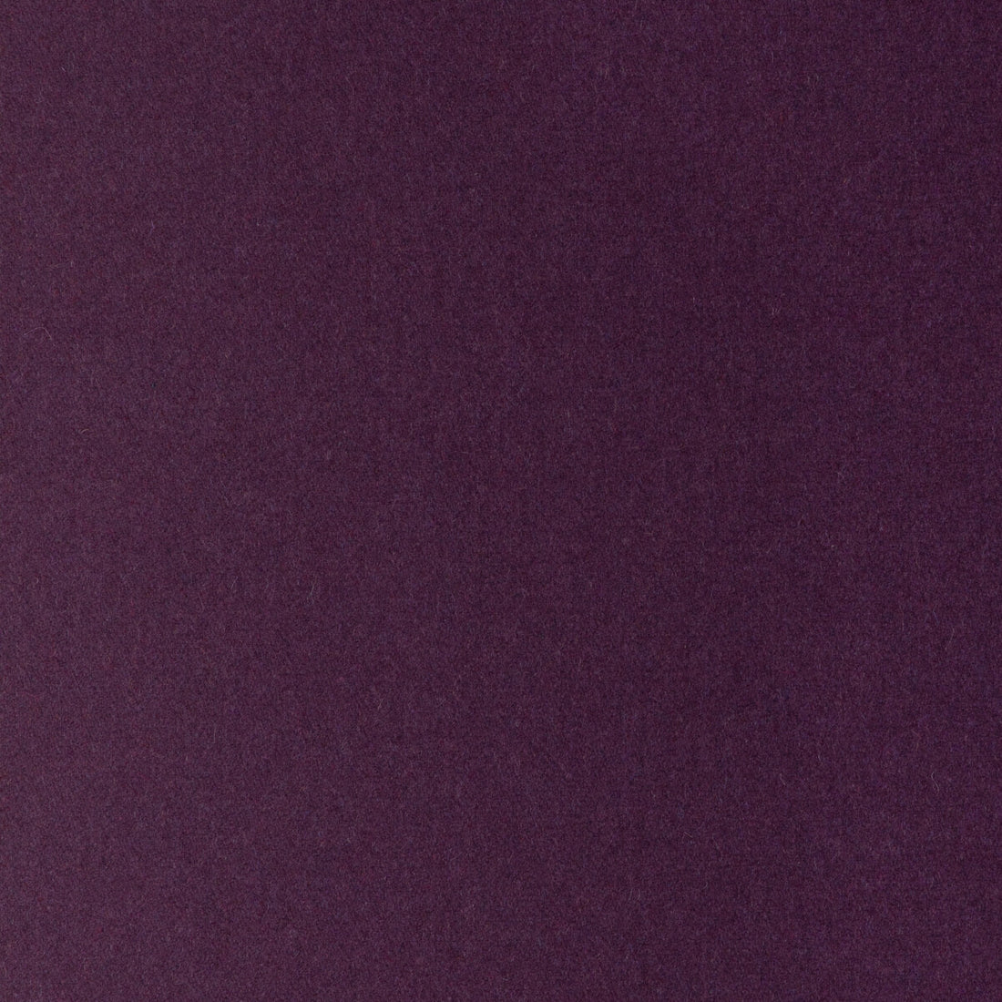 Jefferson Wool fabric in blackberry color - pattern 34397.10.0 - by Kravet Contract