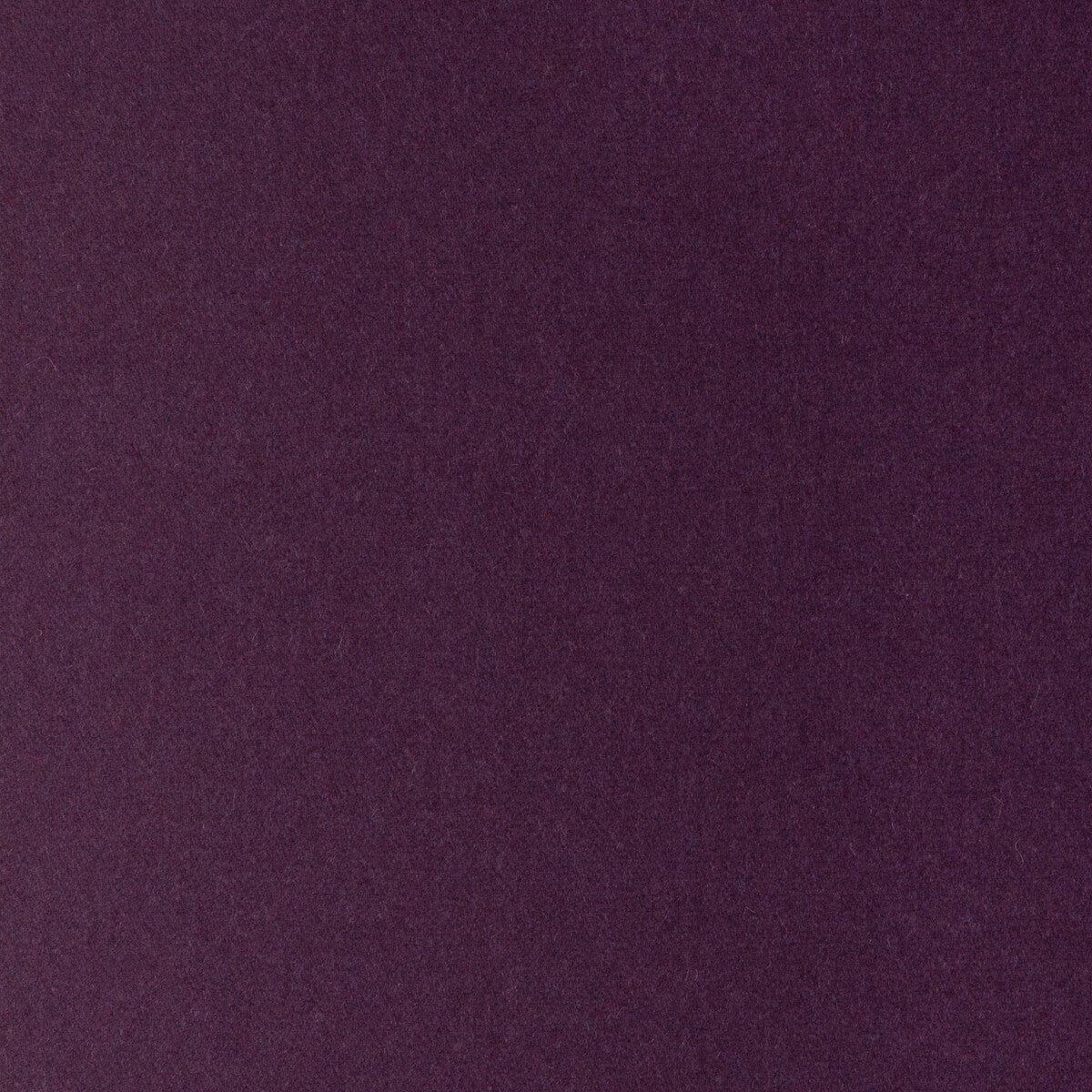 Jefferson Wool fabric in blackberry color - pattern 34397.10.0 - by Kravet Contract