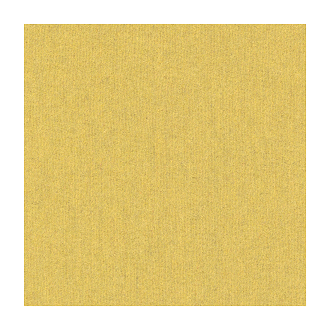 Jefferson Wool fabric in goldenrod color - pattern 34397.4.0 - by Kravet Contract