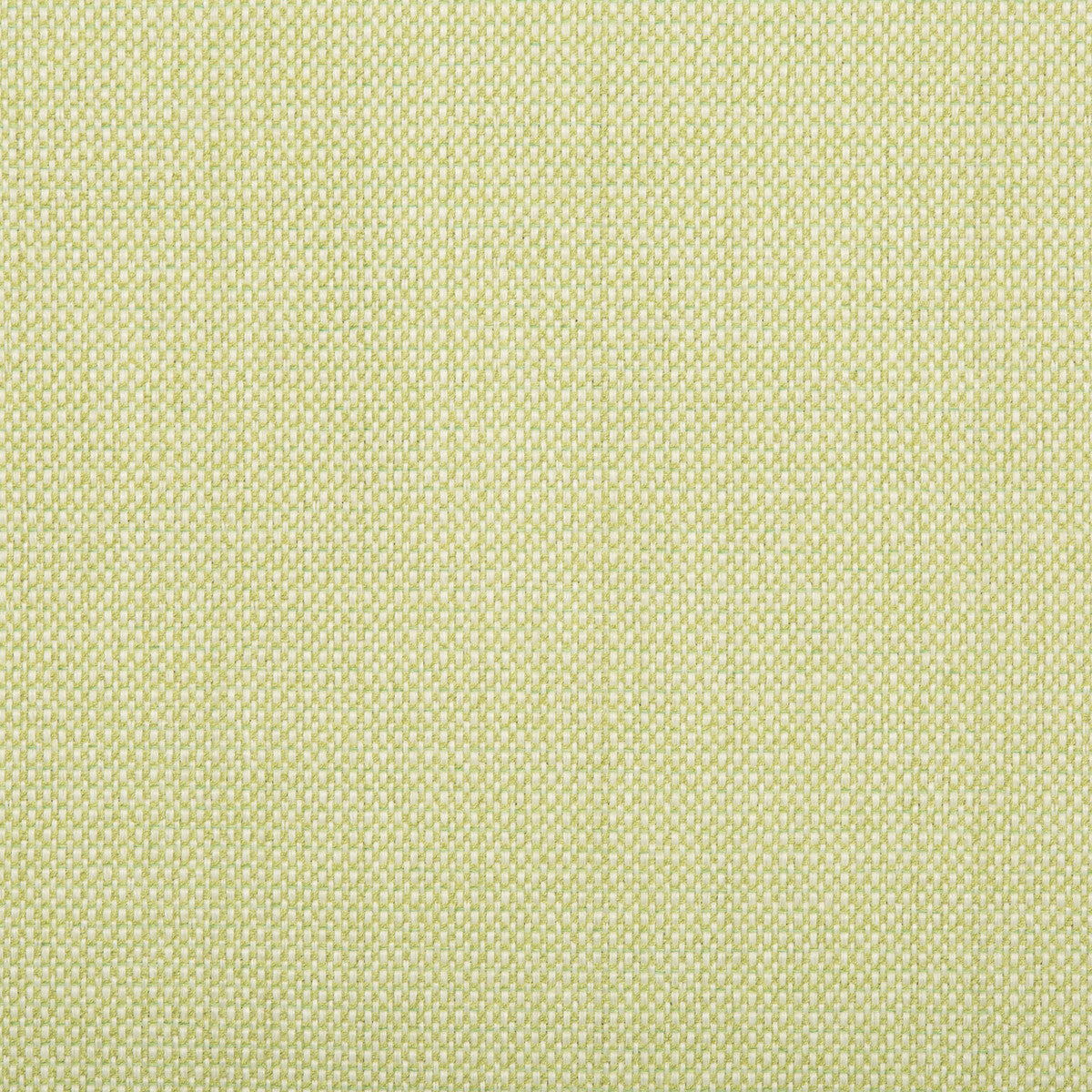 Quayside fabric in celery color - pattern 34525.23.0 - by Kravet Design in the Echo Indoor Outdoor Ibiza collection