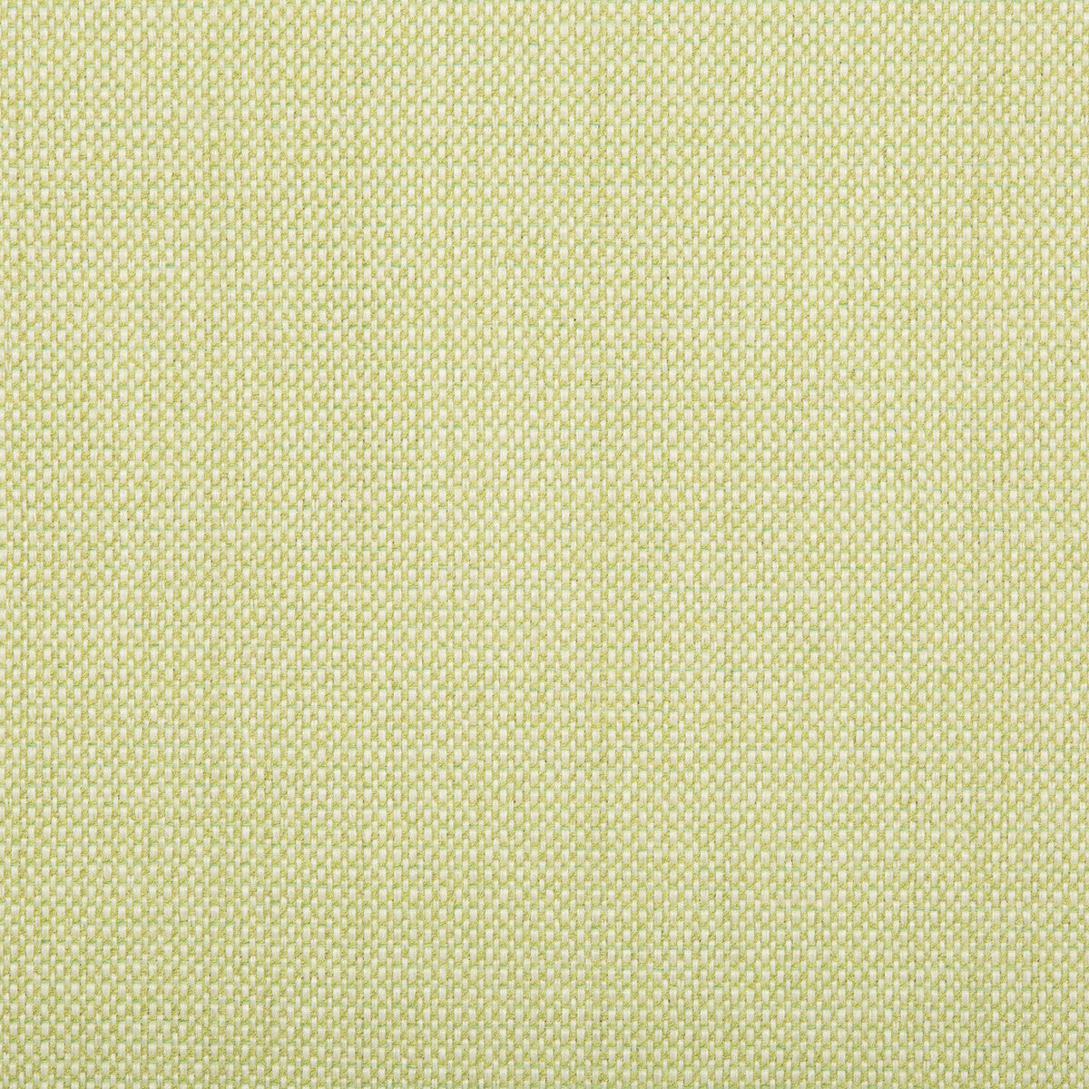Quayside fabric in celery color - pattern 34525.23.0 - by Kravet Design in the Echo Indoor Outdoor Ibiza collection